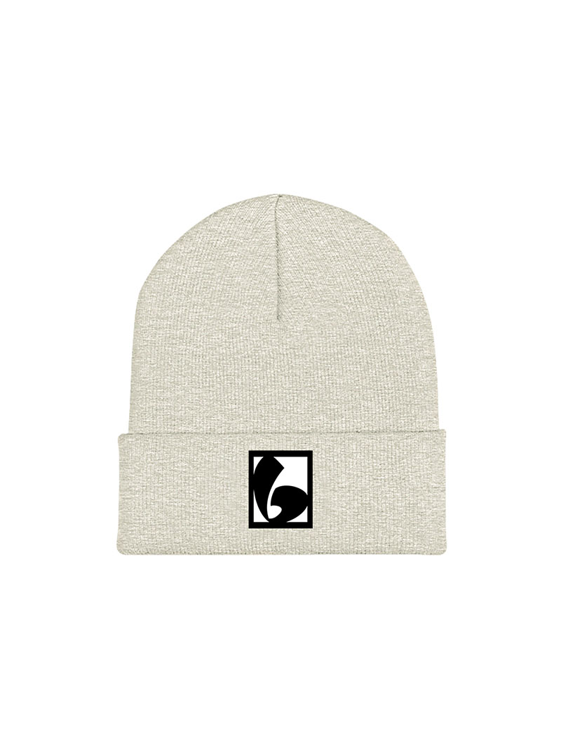 Classic bassivity logo beanie